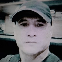 ����, �����-���������, 50 ���