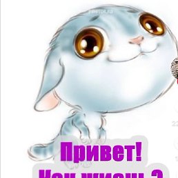 �������, ������, 67 ���