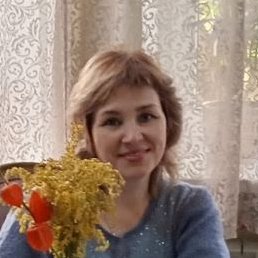 , , 44 