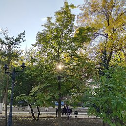 ����, ������-��-����, 55 ���