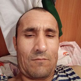 ����, ������, 41 ���