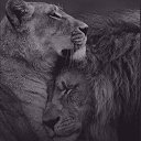 ���� ����, �����, 31 ��� - ��������� 3 �������� 2023