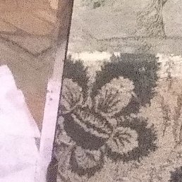 ����, ������, 37 ���