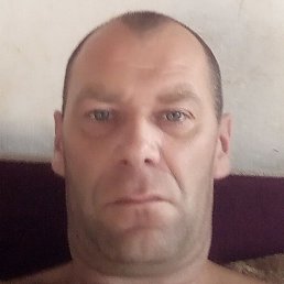 ����, ��������, 43 ����