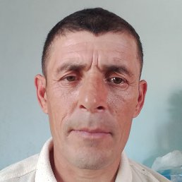 ������, �������, 46 ���