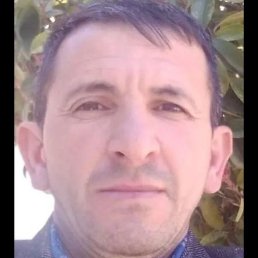 �����, �������, 51 ���