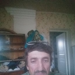  , , 52  -  8  2023