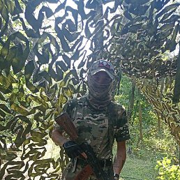 �������, ���������, 33 ����