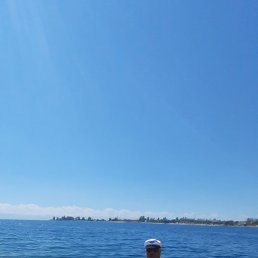 ������, ���������, 47 ���