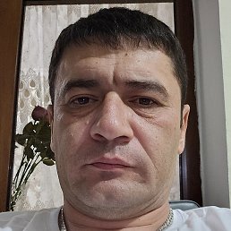 ��������, �������, 44 ����