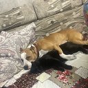 ���� ������, �����, 42 ���� - ��������� 14 ������ 2023 � ������ ���� ����������