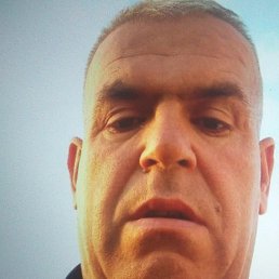 ����, �����-���������, 47 ���