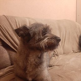 ���� �����, ������, 55 ��� - ��������� 23 �������� 2023