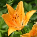  , , 66  -  21  2023    2023