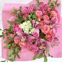 ���� ����, ������, 56 ��� - ��������� 29 ���� 2023 � ������ ���� ����������