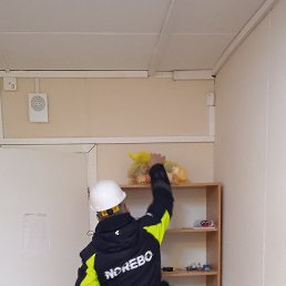 ������, �����-���������, 42 ����