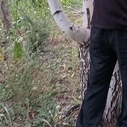 �����, ������, 47 ���