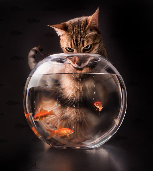 ������ �����! - 2 ������ 2023 � 23:30