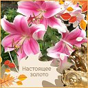 ���� �������, ���������, 65 ��� - ��������� 3 ������� 2023 � ������ ���� ����������