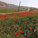 ���� ���, �������, 36 ��� - ��������� 17 ������ 2023