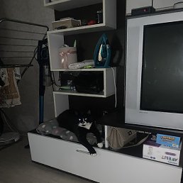 ����������, �����, 24 ����