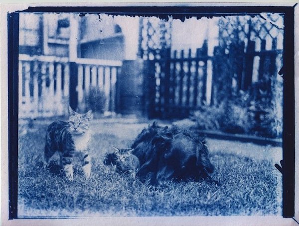 Французский фотограф Матье Стерн нашел пленку 120-летней давности в капсуле времени на чердаке ... - 2