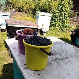 �����, ���������, 56 ���