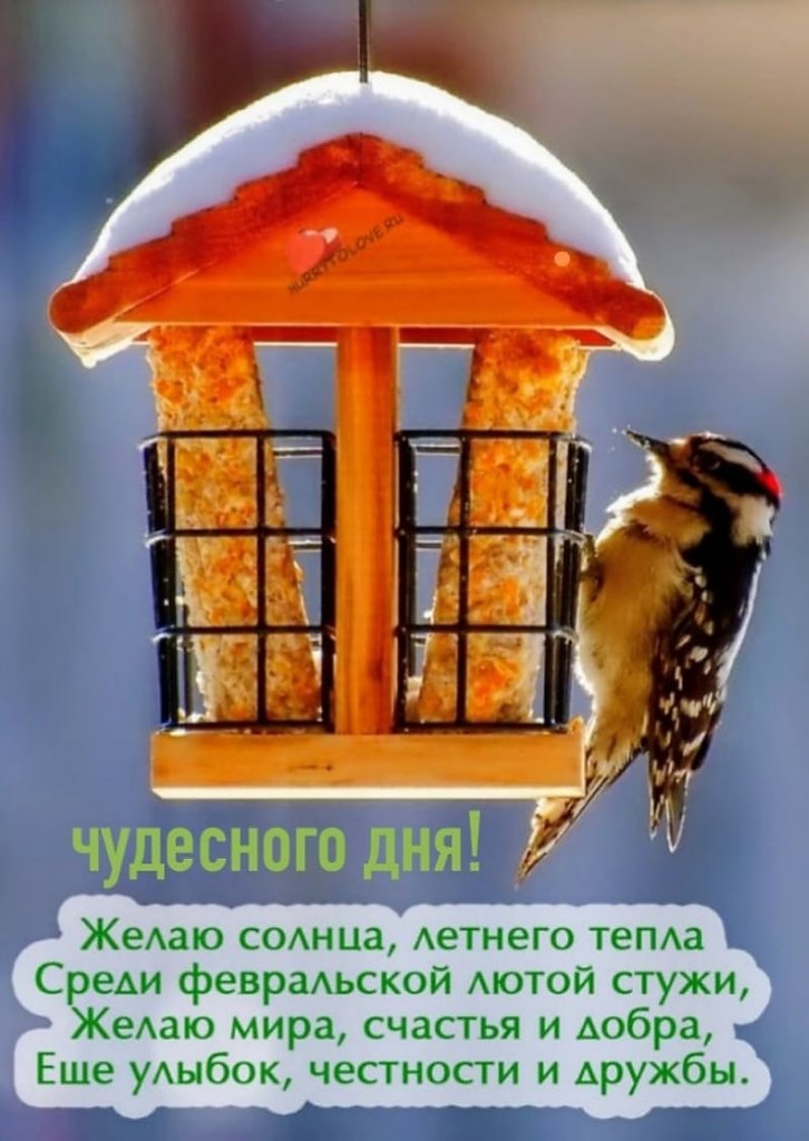   ,    . - 26  2023  17:16 - 9