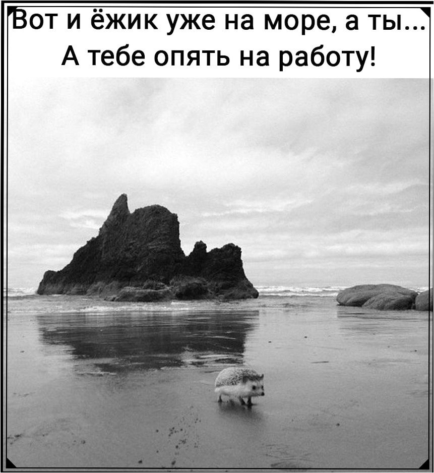 ,  ...