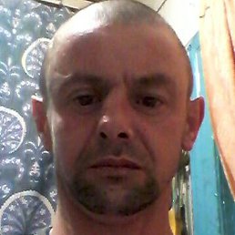 �����, ��������, 42 ����