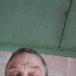 ������, ������, 65 ���