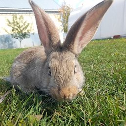 �������, ���, 25 ���