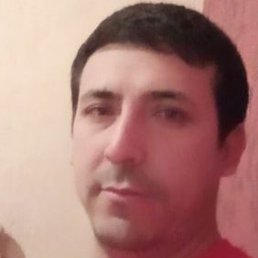 �����, ������, 37 ���