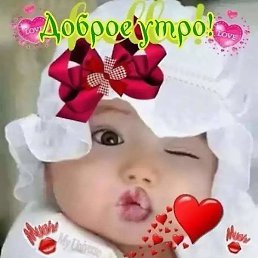 ���, �����������, 43 ����