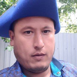 �����, �����, 40 ���