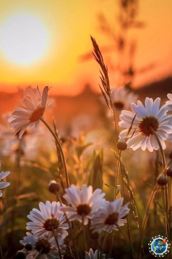 ee poaoe aa - o o! - 6