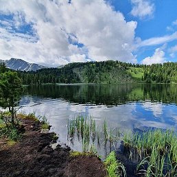 �������, ����������, 49 ���