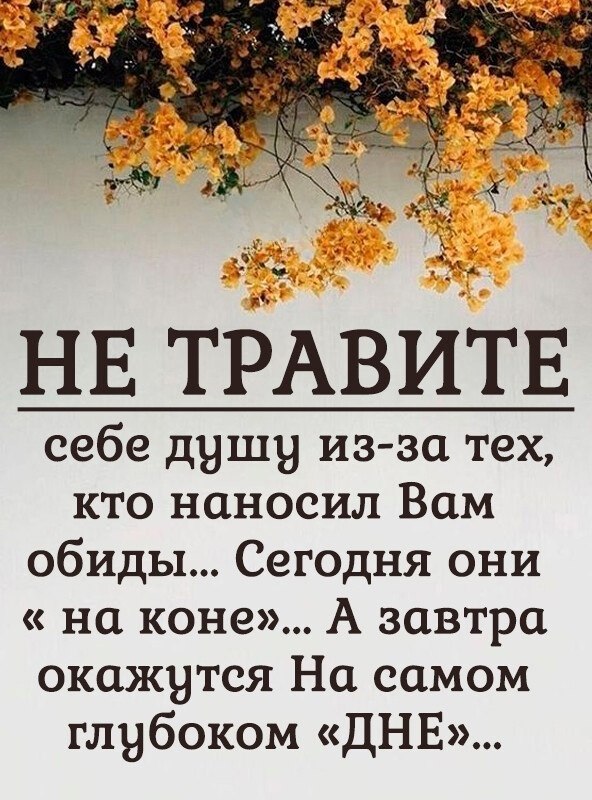 .. - 13  2023  02:10