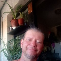 �������, �������, 50 ���