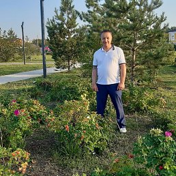 ������, ���������� �����, 60 ���