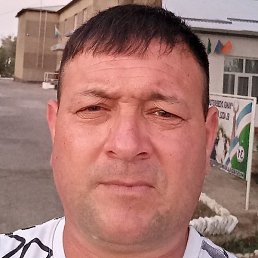 ����, ������, 46 ���