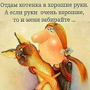 ���� �������, ������, 48 ��� - ��������� 29 ���� 2023 � ������ ������