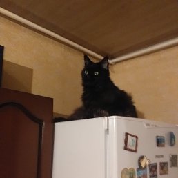 ���� �������, ������, 43 ���� - ��������� 21 ������ 2023