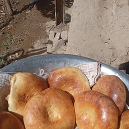 �����, ������, 41 ���