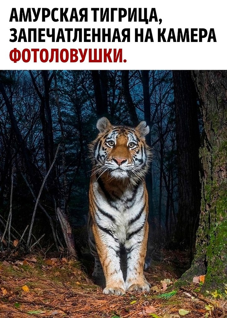  2013     National Geographic    .  ...