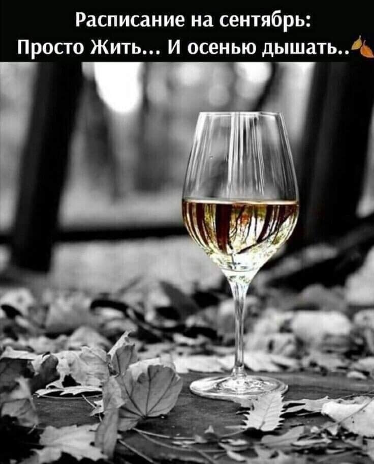 ***Victoria Viktorovna*** - 7  2023  06:01