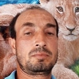 ������, ���������, 38 ���