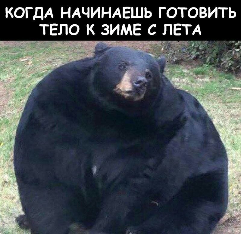    - 27  2023  04:19