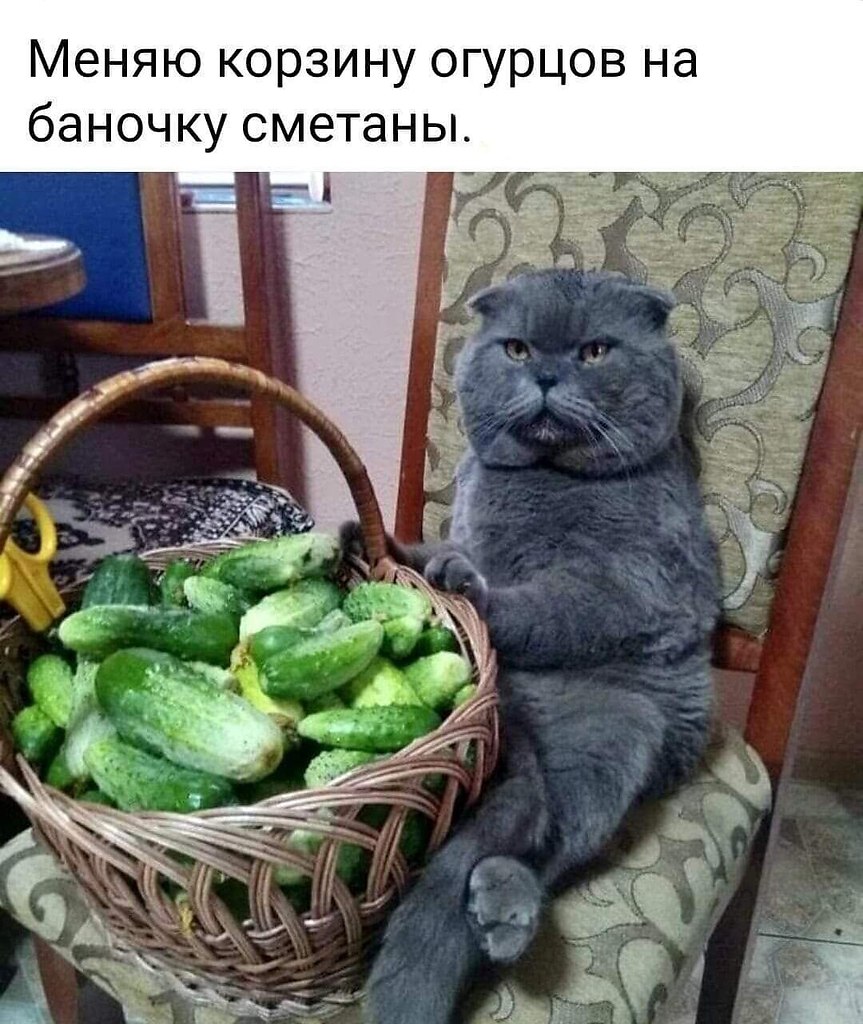   - 12  2023  10:00