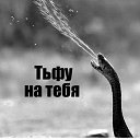 ���� �����, ��������, 53 ���� - ��������� 24 ���� 2023 � ������ ������Ż